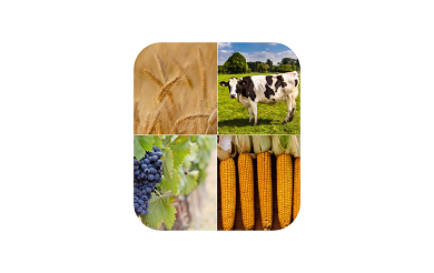 Réforme fiscalité agricole et viticole.png
