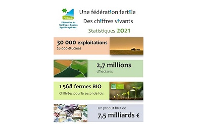Pages de Stats Nationales FCGAA BA 2021 - Copie.jpg