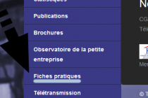 menu-fichespratiques.png